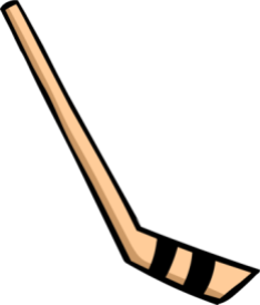 1 item hockey